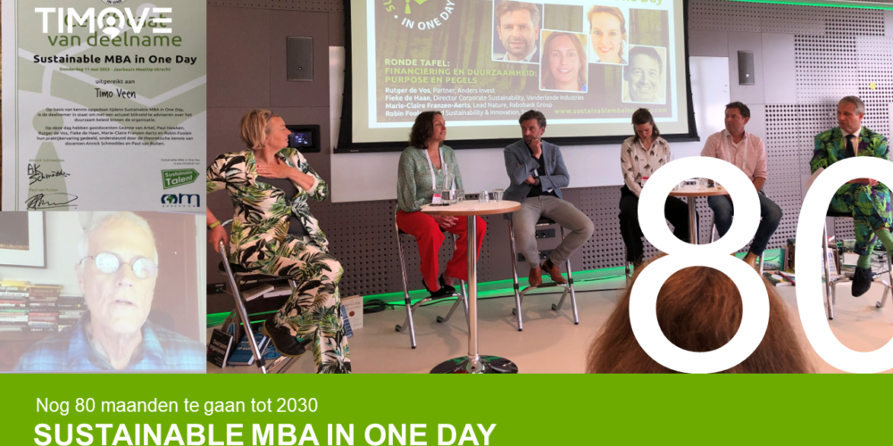 Sustainable MBA In One Day
